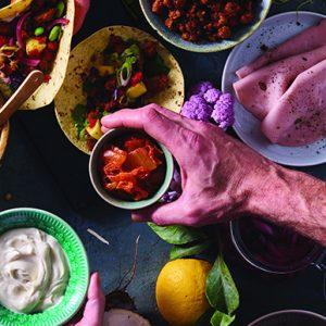 Meat Alternatives - culturi pentru alternative vegetale fermentate tip carne